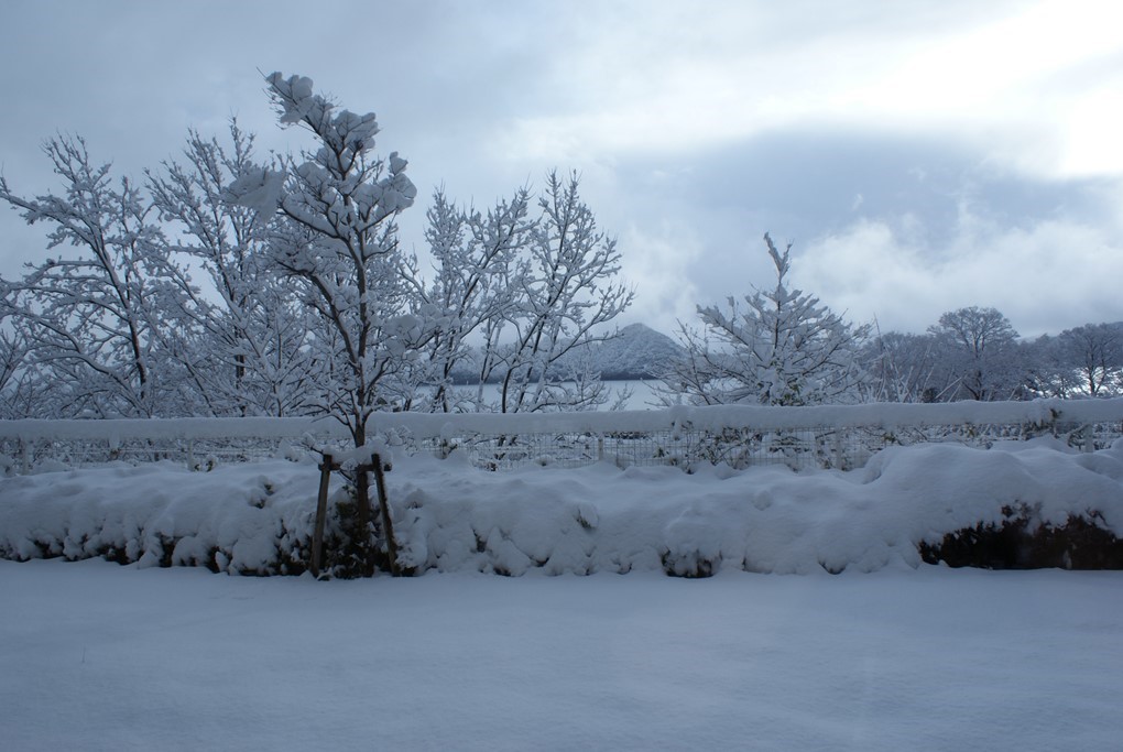 ../img/topics/20123121025300020_1.jpg